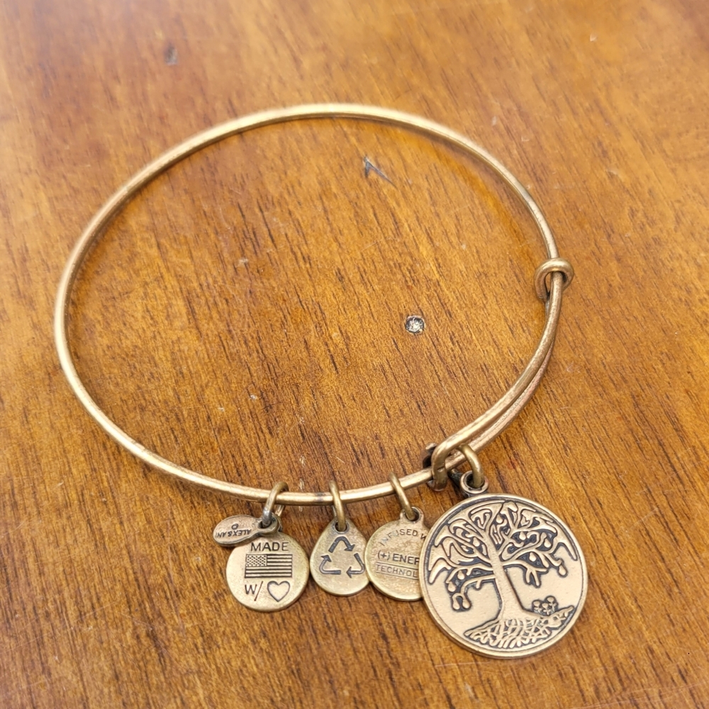 Alex and Ani Tree of Life Bangle Bracelet